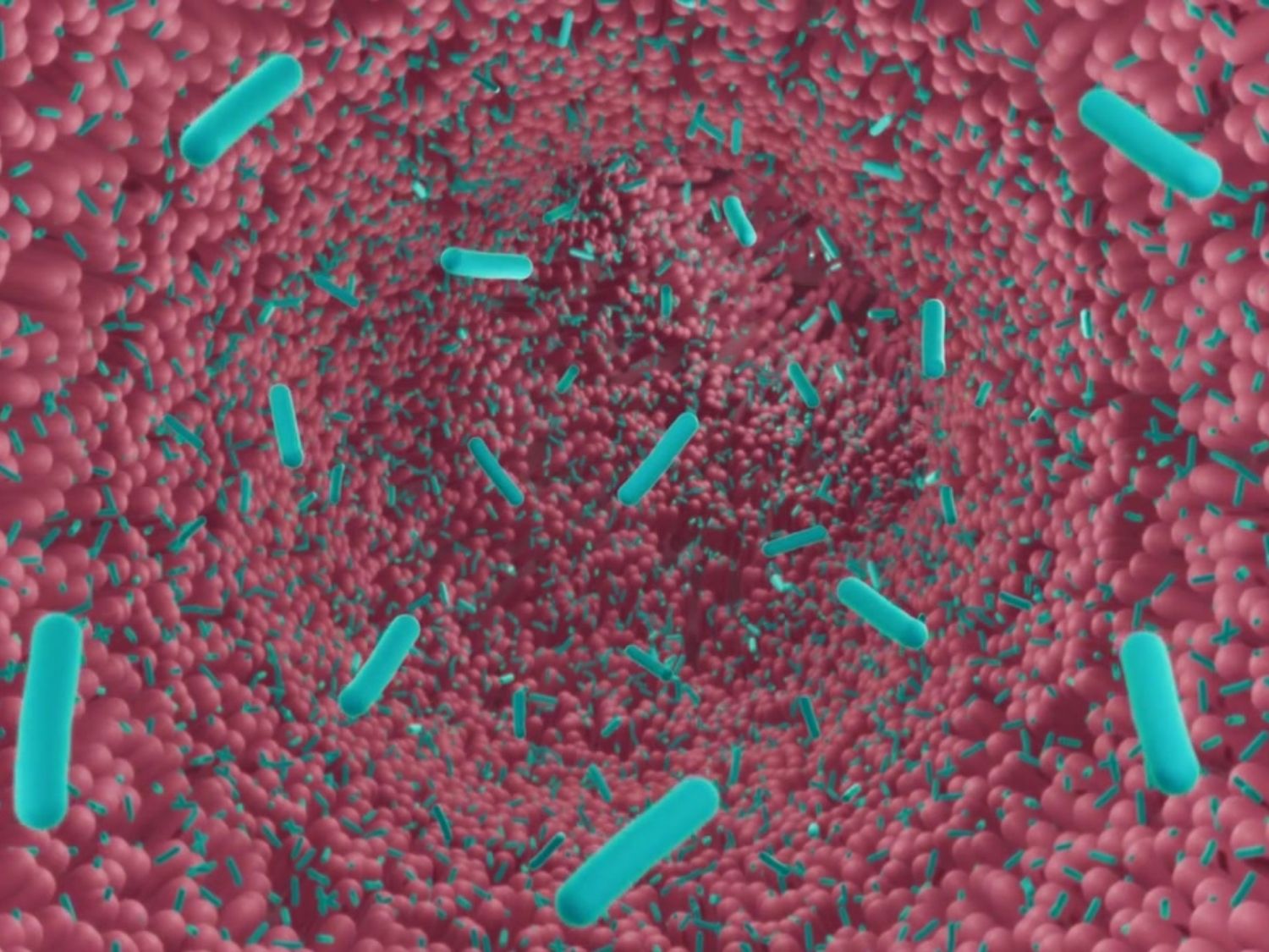 여자 유산균 추천