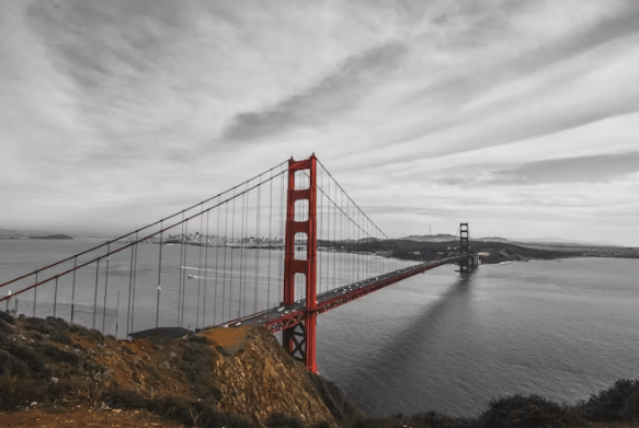 미국 ESTA 비자 발급, 빠르게 끝내는 완벽 가이드