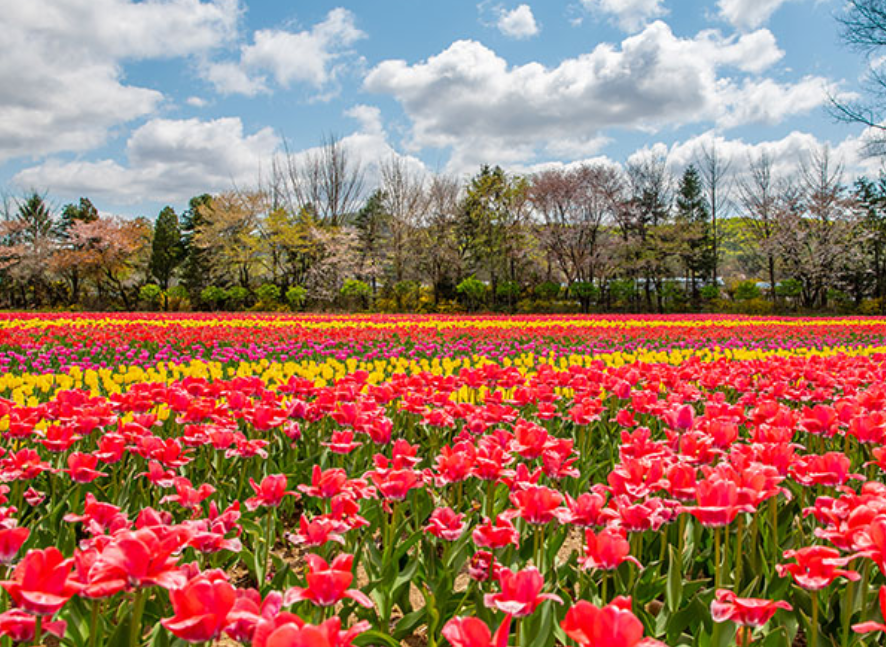 벽초지 수목원 배경