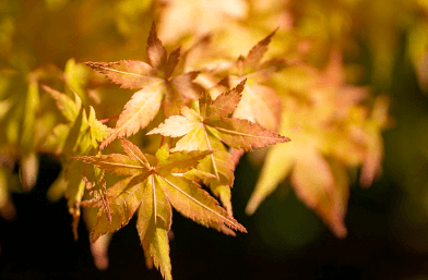 9월 인사말 모음집