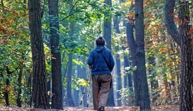 국립자연휴양림-예약방법-성수기