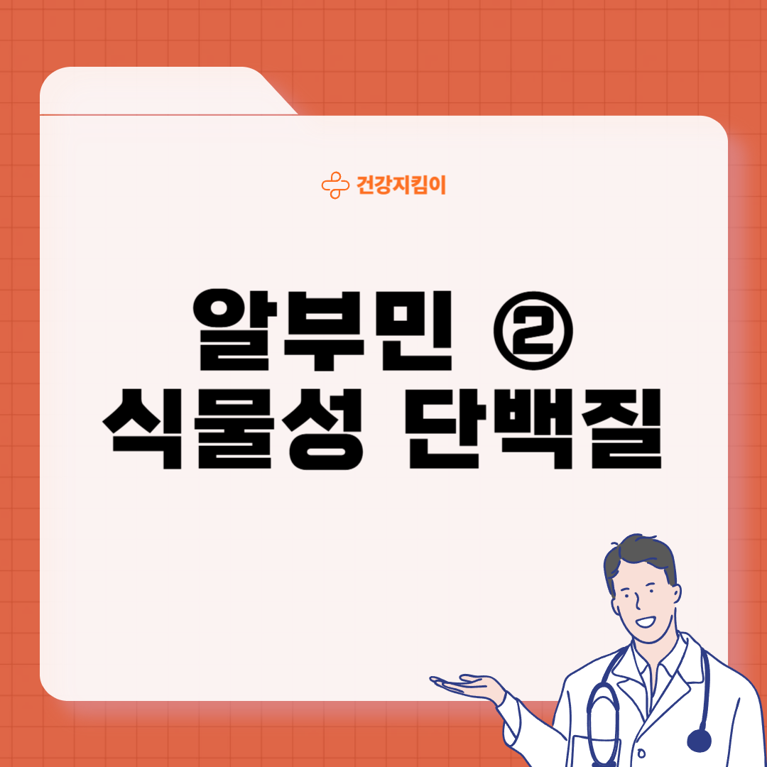 알부민 많은 음식