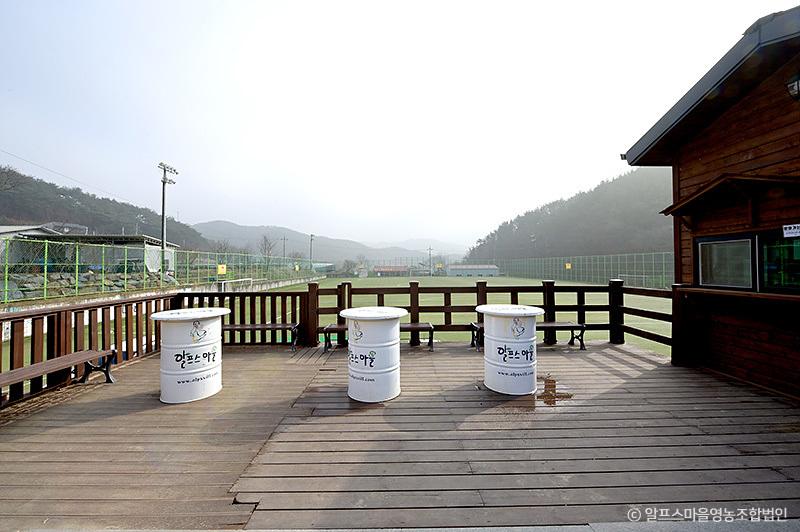 청양 가볼만한곳 베스트10