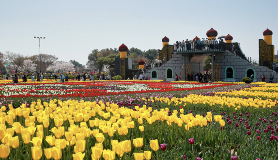 전남 태안 여행지 이미지