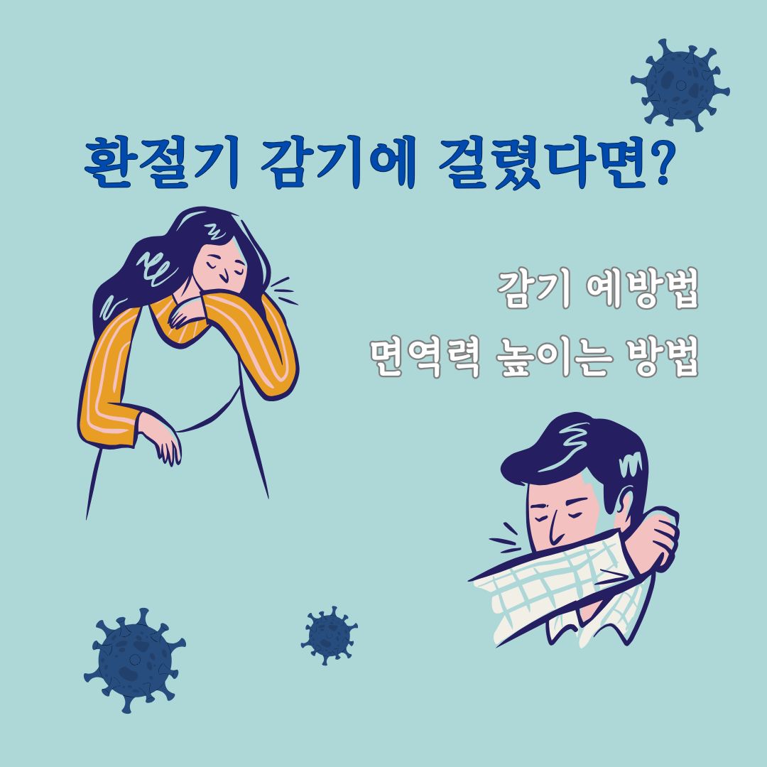 환절기감기
환절기감기대처법
환절기감기예방법
면역력높이는방법
