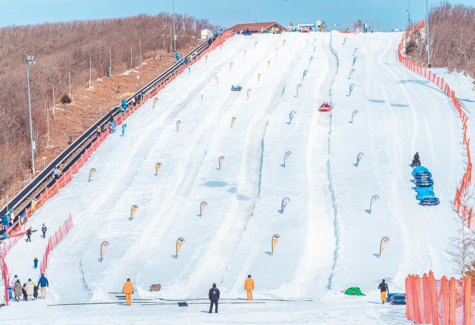 2023-2024 국내 스키장 개장일