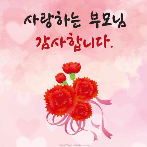 빨간카네이션이미지