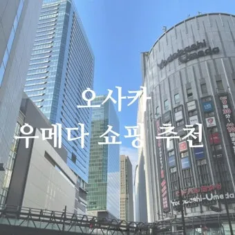 오사카 돈키호테 쇼핑리스트 필수 아이템_4