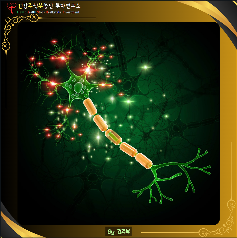 스페르미딘 : 세포 노화 방지 해결책
(글 그림 : 건주부, 그림 출처 : Canva)