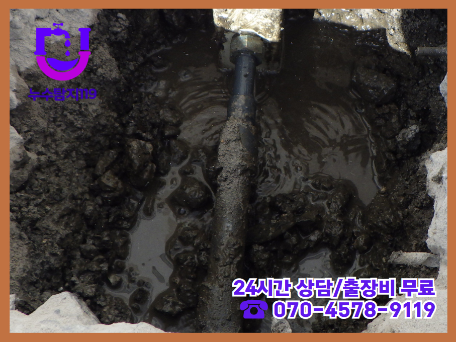 청주 성화동 아파트&middot;빌라&middot;상가 건물4