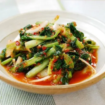 열무 심는 시기 재배 방법_5