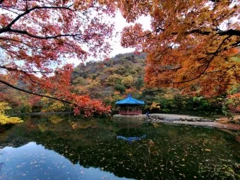 내장산 단풍터널 드라이브 코스 주차장 위치까지 총정리_13