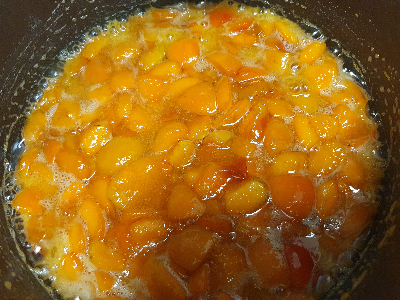 살구잼 살구쨈 만드는 법 (+저당 살구잼)