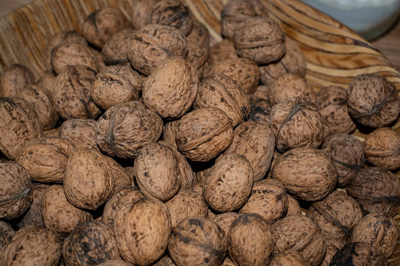 오메가3 효능과 복용법