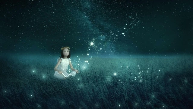 메리츠 화재 실비 보험