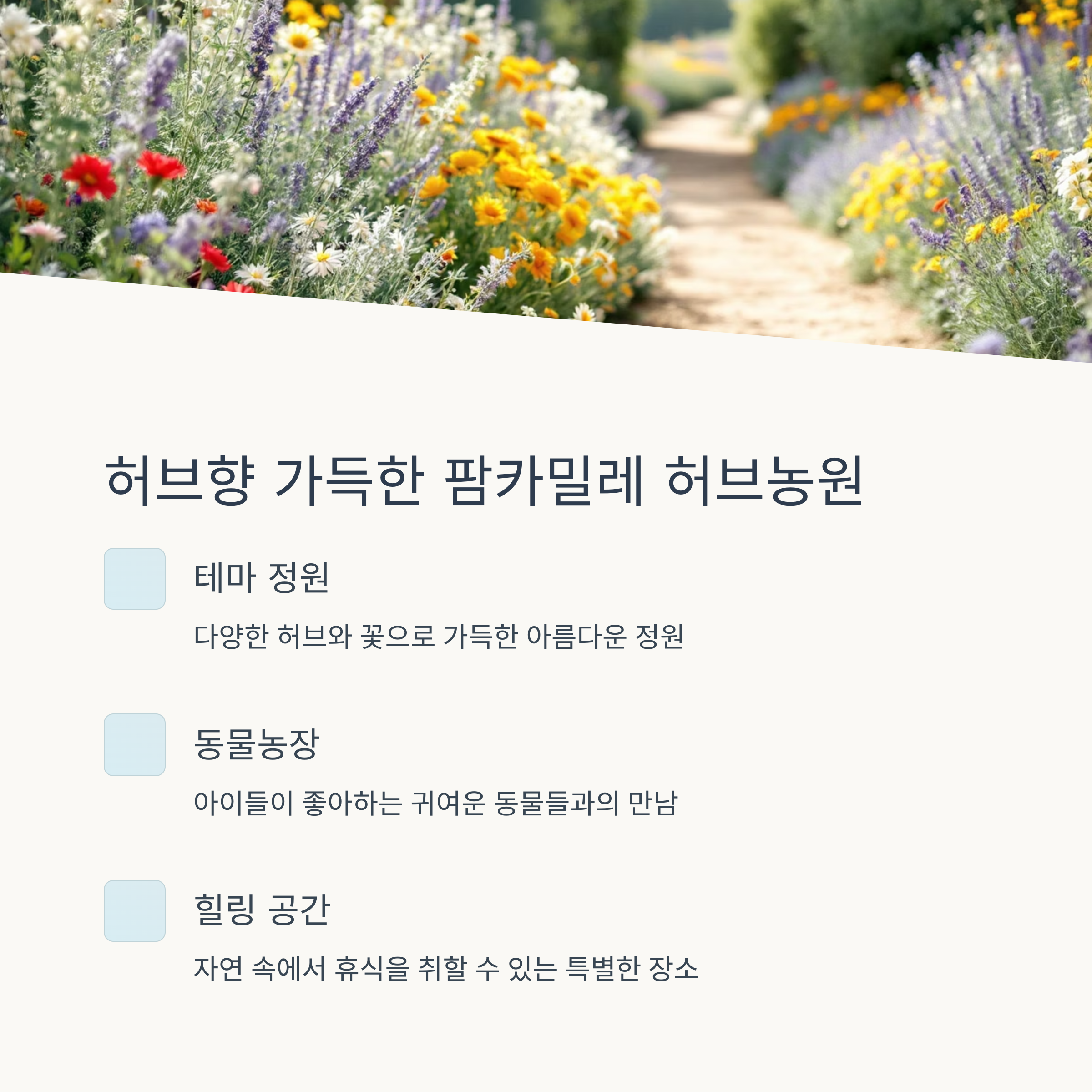 태안 꽃지해변 &amp; 팜카밀레 허브농원 완벽 가이드