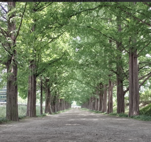 2025 추석연휴 전라남도 가볼만한 곳 BEST 5