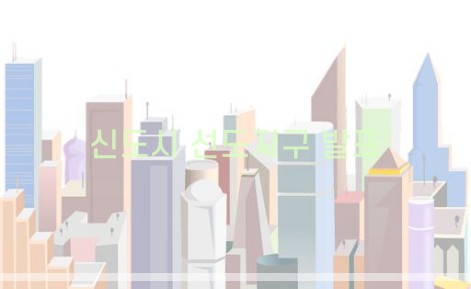 1기 신도시 선도지구 발표-2