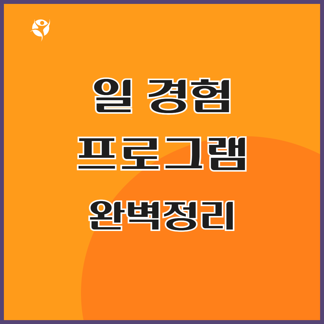 일경험 프로그램 완벽정리