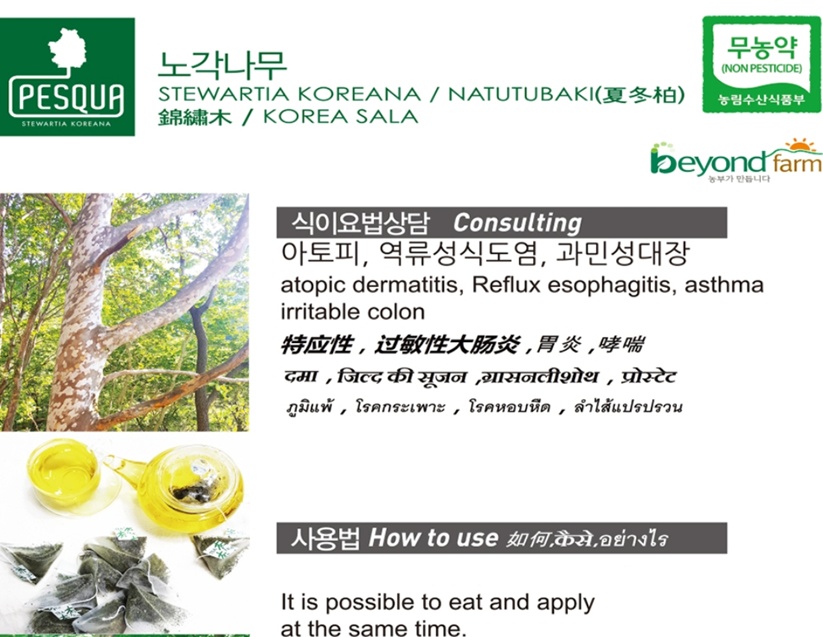 거창-노각차-효능