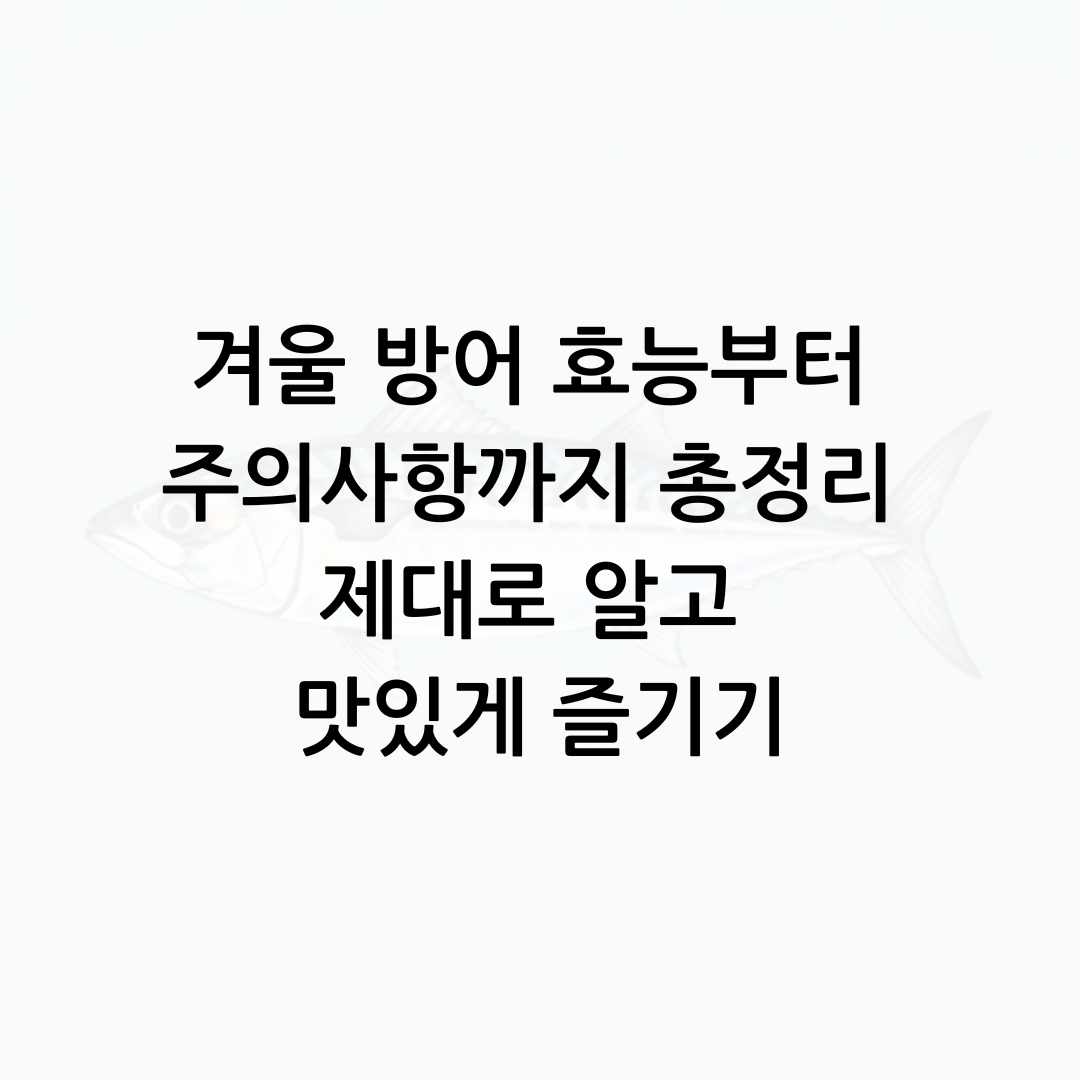 겨울 방어 효능부터 주의사항까지 총정리 제대로 알고 맛있게 즐기기