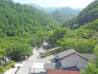 숲나들e 국립자연휴양림 숙소, 캠핑장 예약 방법, 주말, 장애인 추첨 일정 정보