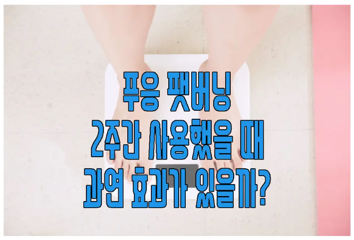 푸응팻버닝에 관한 글 보러 가기 링크 사진