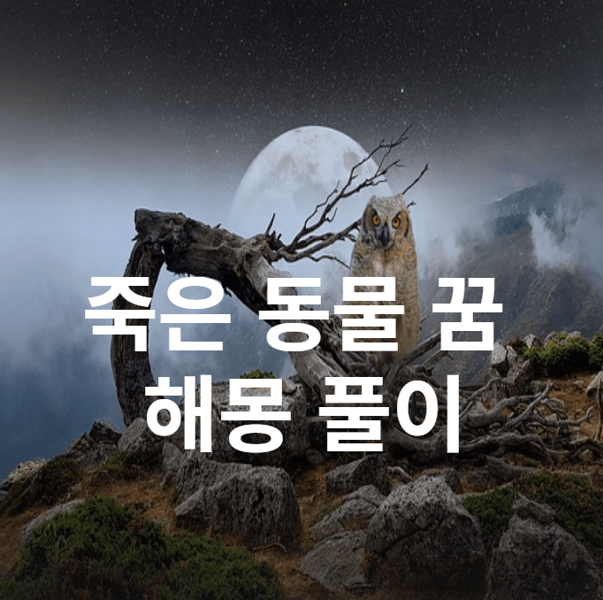 동물 죽는 꿈 해몽 풀이 썸네일