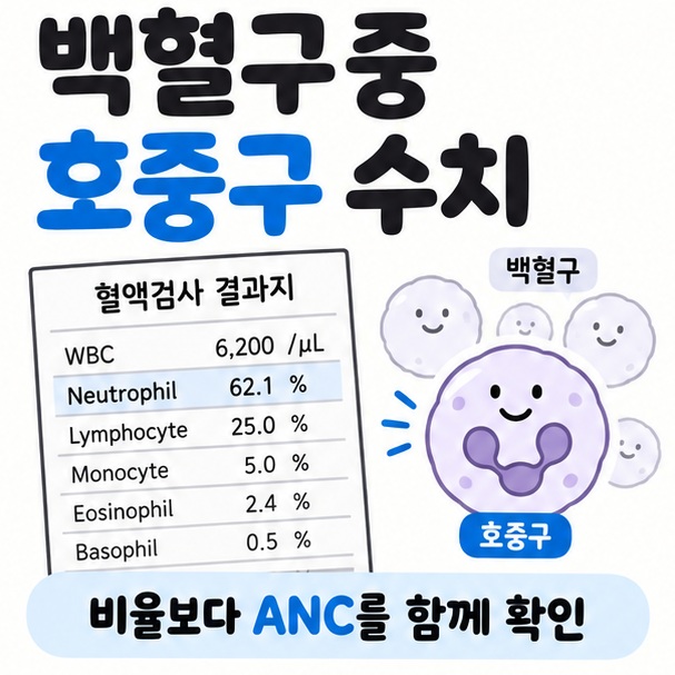혈액검사 결과지와 백혈구 호중구 아이콘을 중심으로 백혈구중 호중구 수치 문구를 보여주는 대표 카드뉴스 이미지