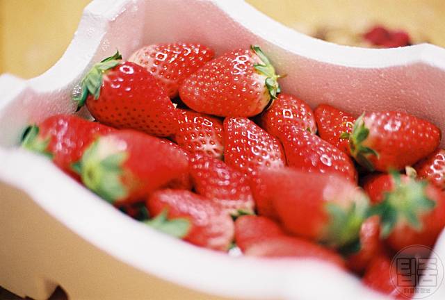 딸기 보관법 딸기보관기간 딸기냉장보관 딸기냉동보관법