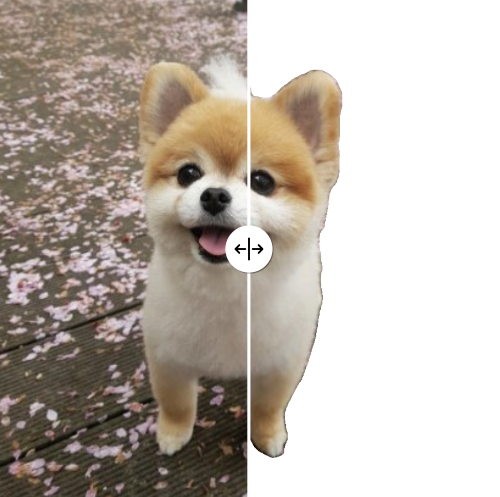 Pencilizing(펜슬라이징): AI로 사진을 연필 스케치로 바꾸는 방법과 활용법 총정리