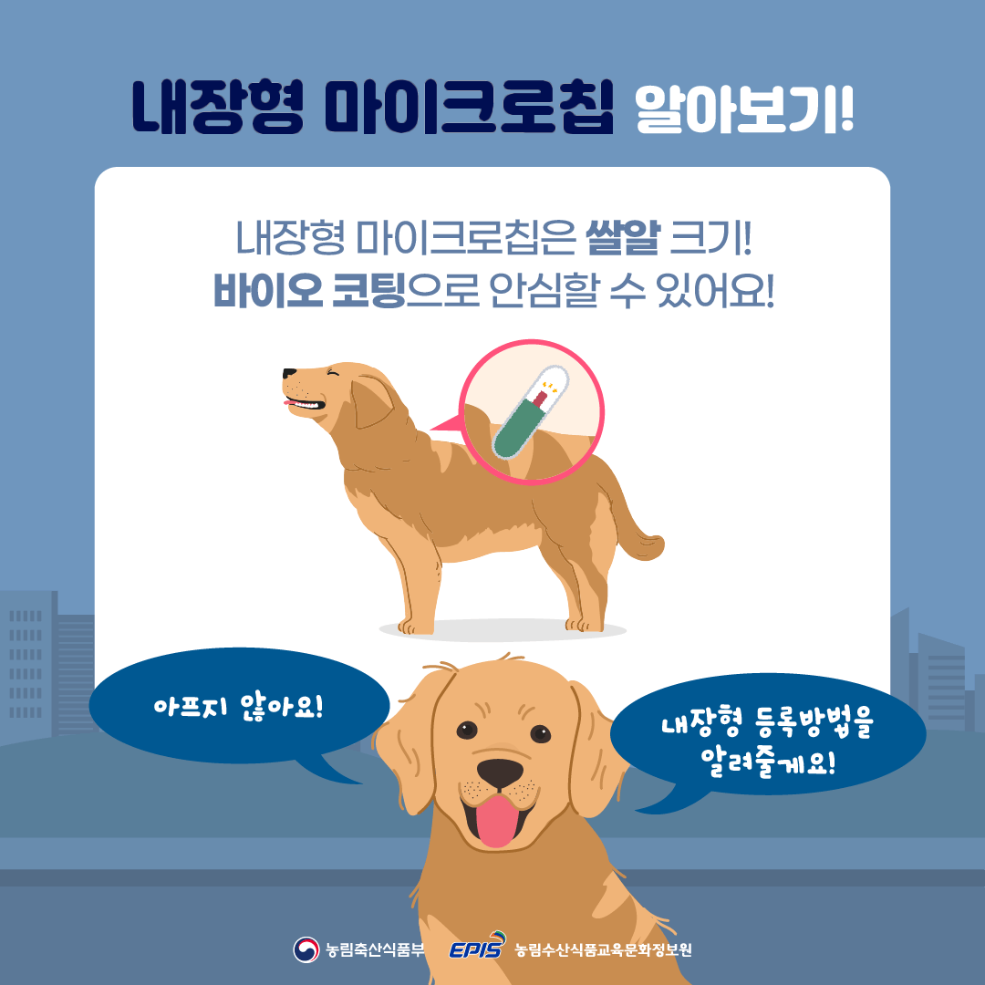 반려견 동물등록 자진신고 기간 안내