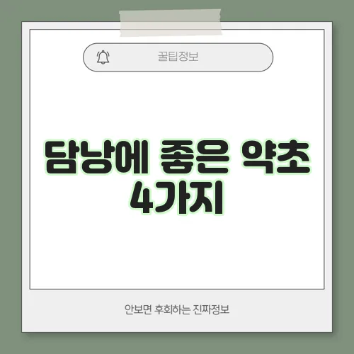 담낭에 좋은 약초 4가지