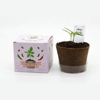 텃밭 고추 키우는 법 모종심기 지지대 순지르기 탄저병 예방_27