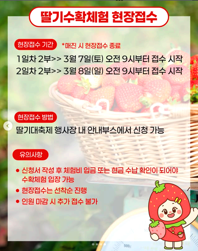 삼례 딸기대축제