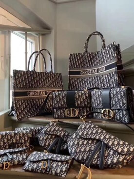 돈이-가방에서-사라지는-명품가방-디오르