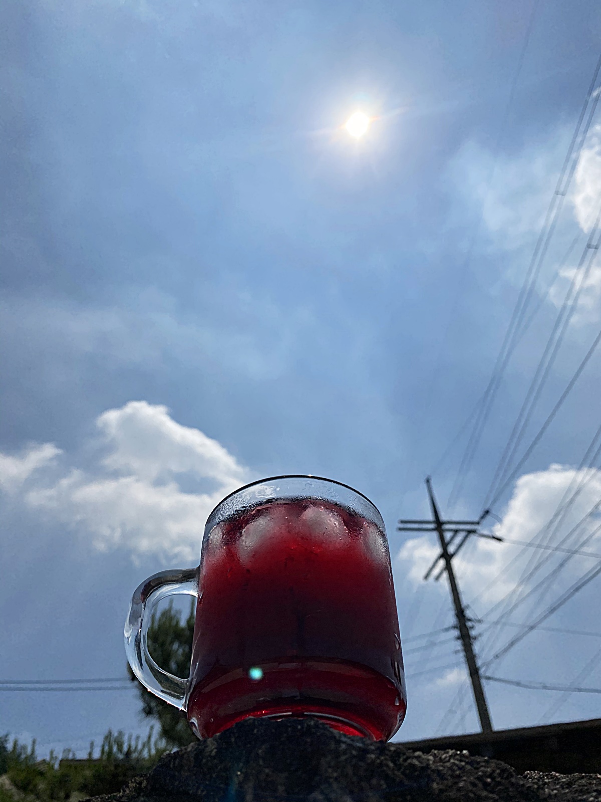 태양 아래 주스 1