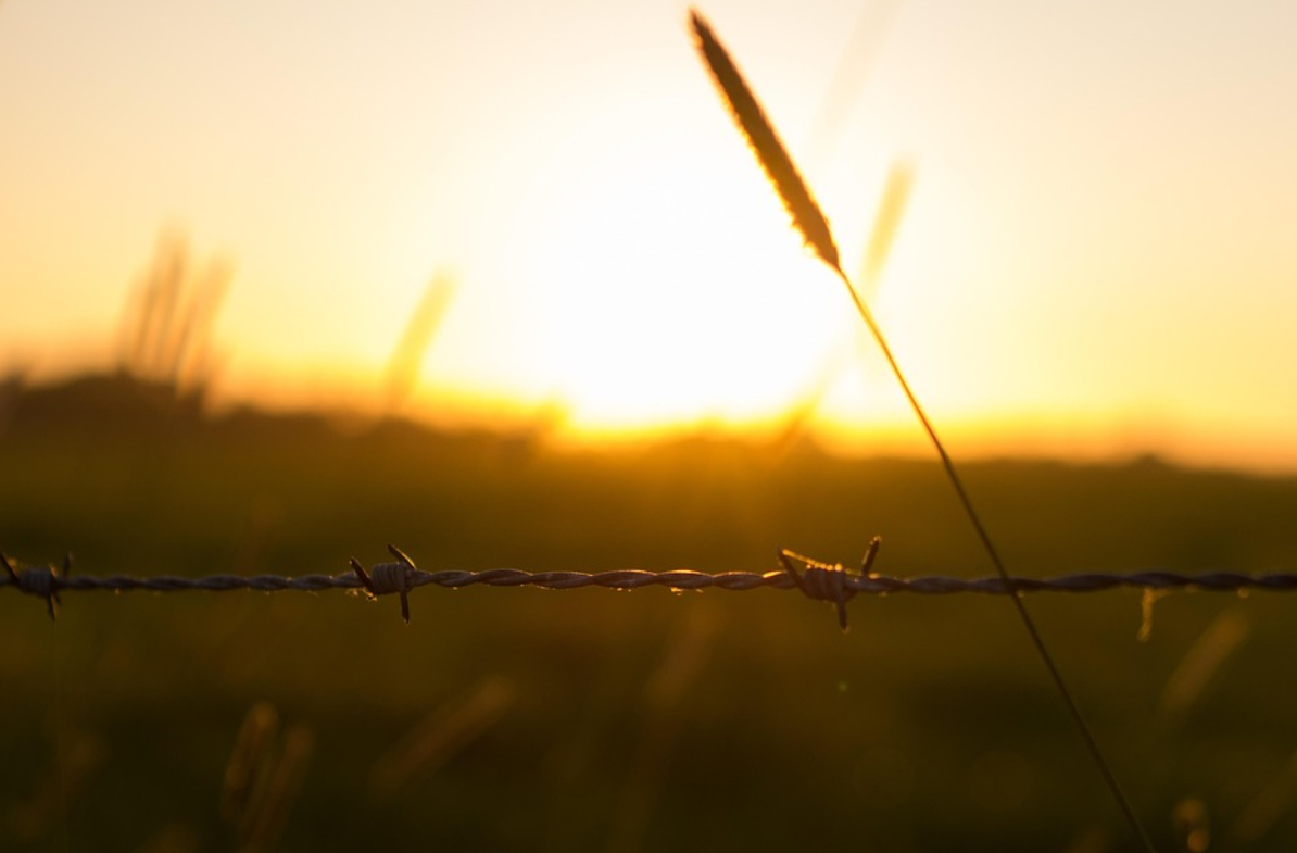 철책 너머에도 사람이 산다