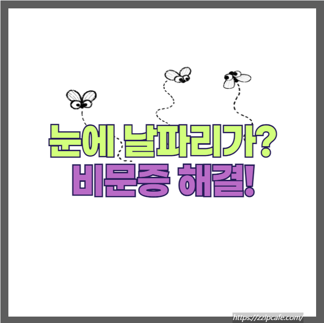 눈에 날파리 비문증 치료 방법과 예방을 위한 눈 건강 관리 방법!