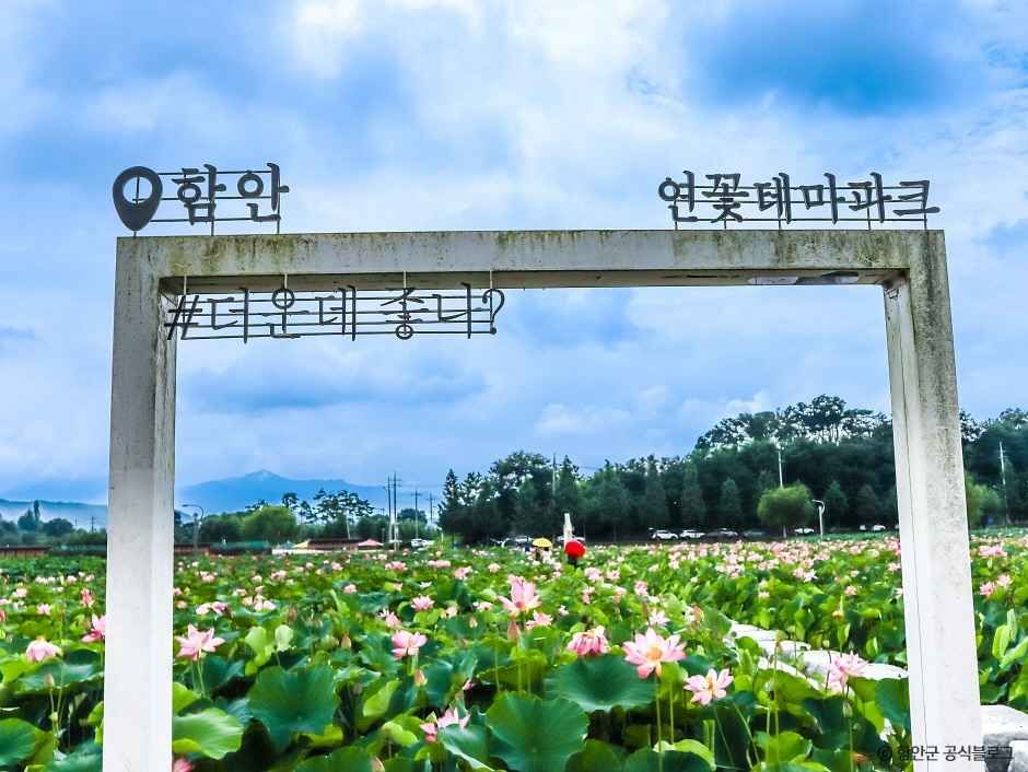 연꽃테마파크