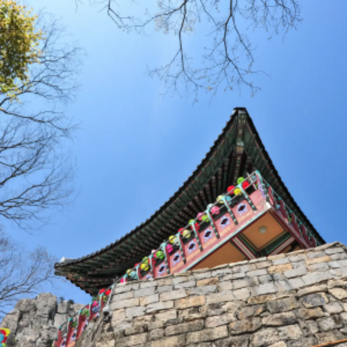 2025년 새해 일출 명소 