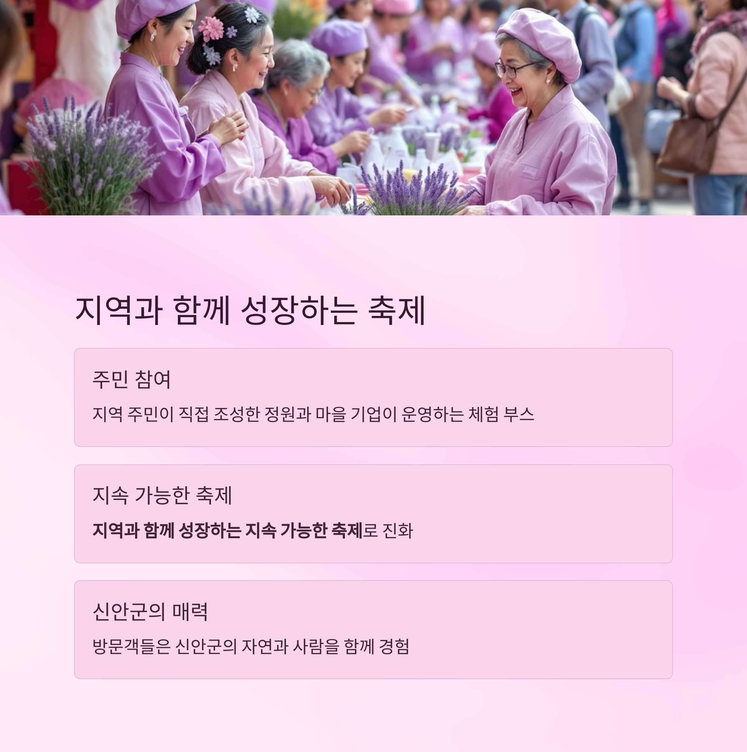 2025 퍼플섬 라벤더 축제, 보랏빛 향기로 물드는 섬 여행