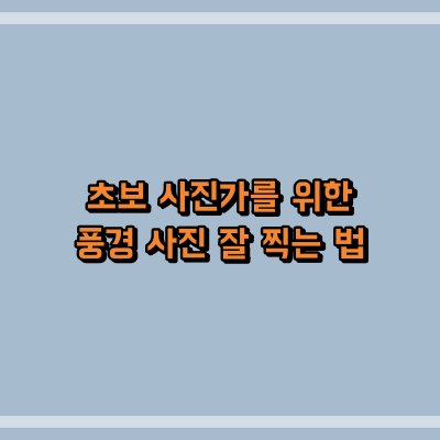 초보 사진가를 위한 풍경 사진 잘 찍는 법