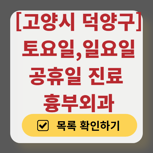 고양시 덕양구 주말 토요일 일요일 흉부외과 진료 병원 목록 ❘ 공휴일 진료 영업 병원 리스트 찾기