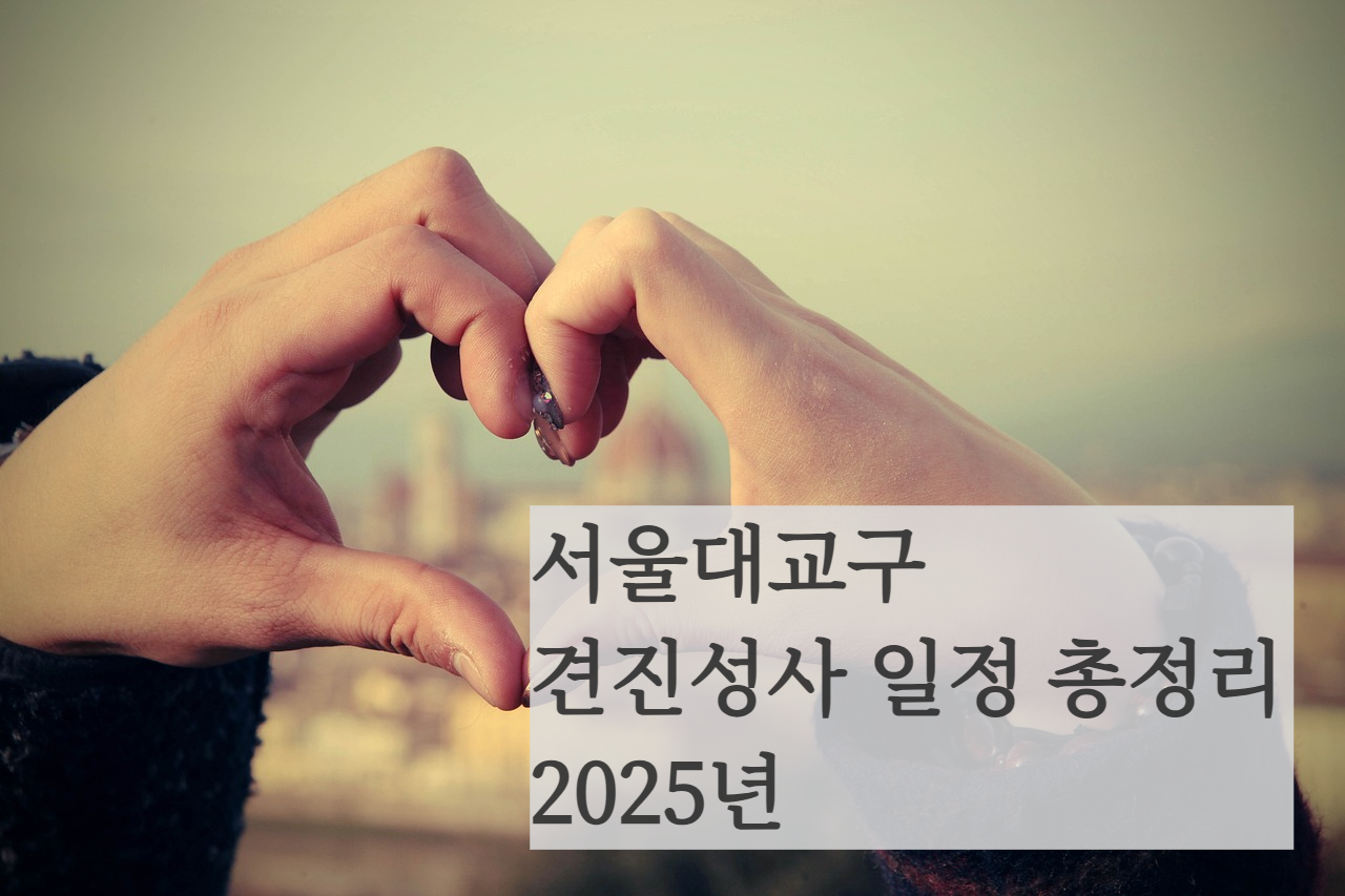 천주교 서울대교구 견진성사 일정 준비