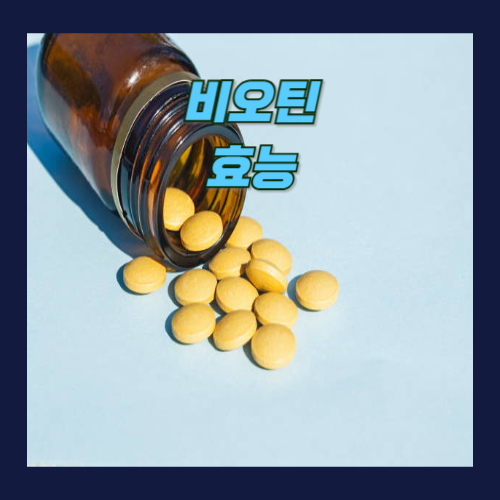 비오틴 효능