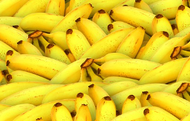 이노시톨 여드름