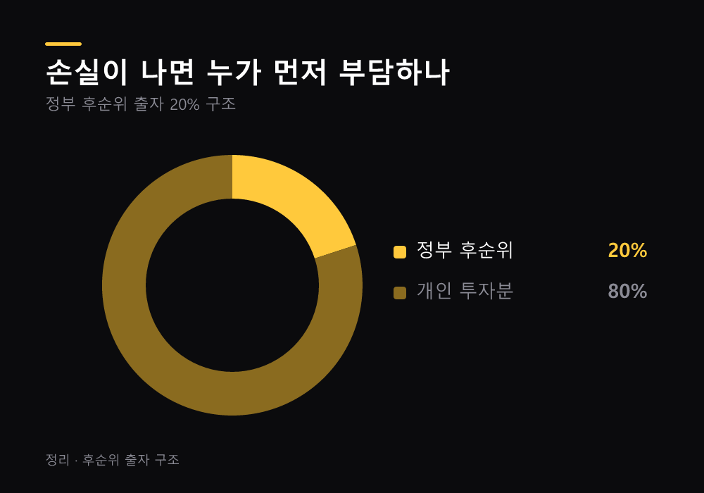 국민성장펀드 손실 시 정부 후순위 20% 구조