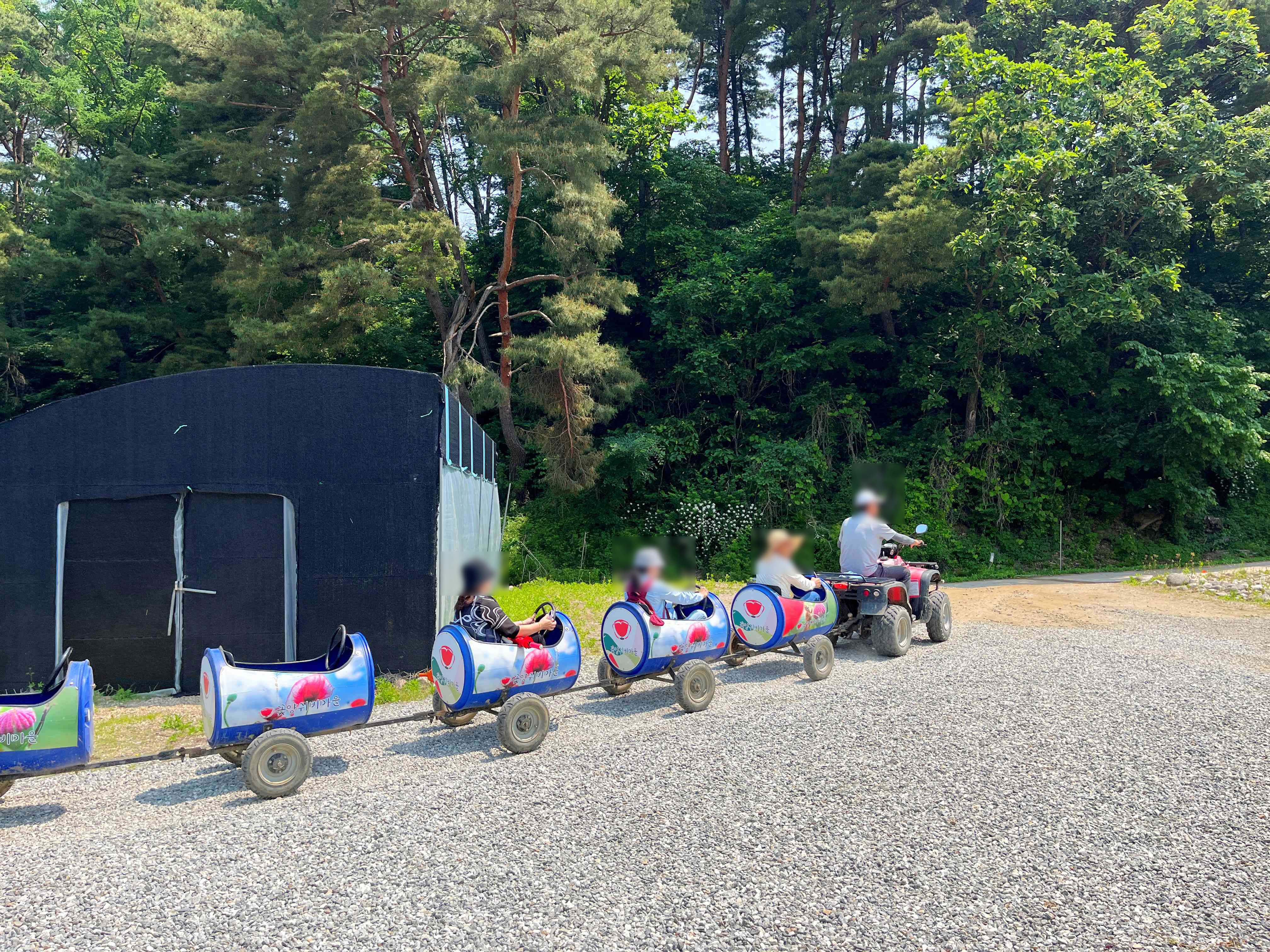 용수골 양귀비 축제
