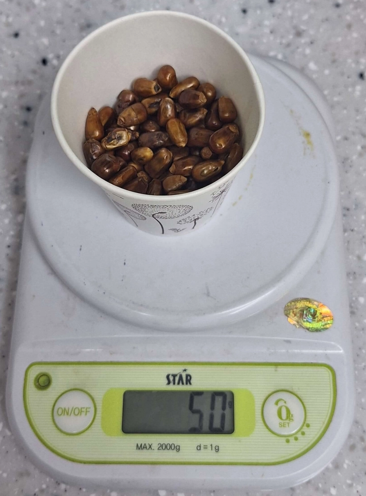 노브랜드-알곡-통옥수수-50g-양